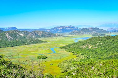 Yeşil delta manzarasında akan Crnojevica nehri, Skadar Gölü Ulusal Parkı, Karadağ tarihi belgesi, Balkanlar 'ı keşfetmek, Avrupa' yı gezmek