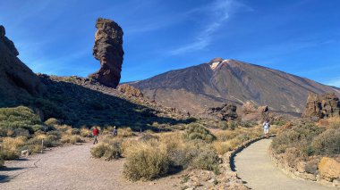 La Orotava, Santa Cruz de Tenerife, İspanya - 27 Aralık 2023: Teide Ulusal Parkı 'nda yürüyüş yapan turistler, Kanarya Adalarını keşfetmek, İspanya' yı keşfetmek, Avrupa 'yı gezmek.