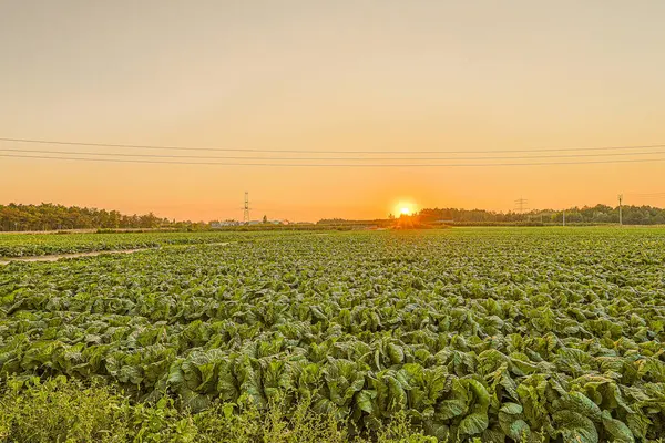 Dağlarda güzel bir gün batımı