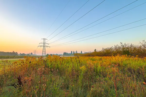 Sonbaharda elektrik hatları