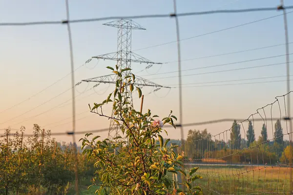 Kablolu elektrik hattı