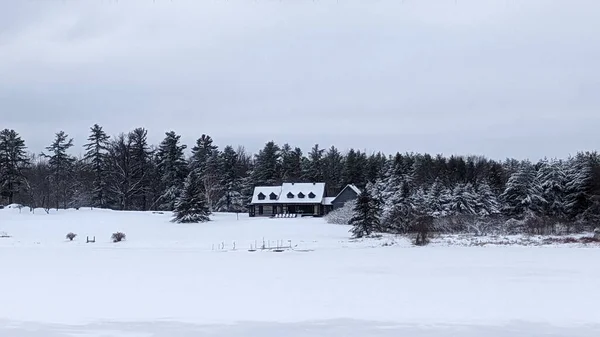 a small house in the winter forest.