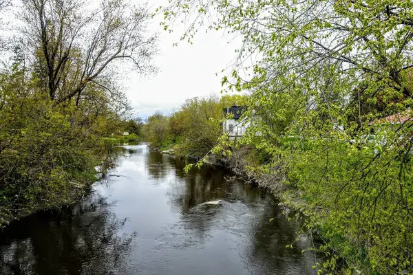 Parkta akan bir nehir.