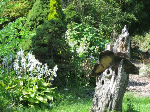 Parktaki ahşap heykelin güzel bir fotoğrafı.