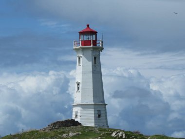 lighthouse on the sea coast clipart