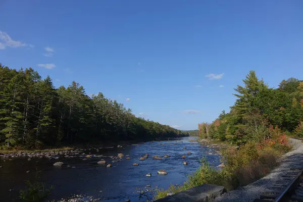 Sonbahar manzarası, ağaçlı, ağaçlı, ormanlı güzel bir nehir.