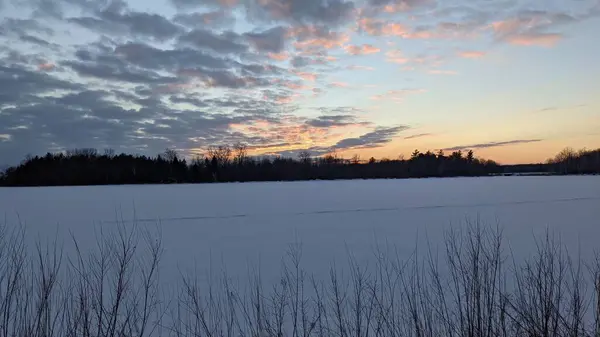 Kar ve ağaçlarla dolu güzel kış manzarası