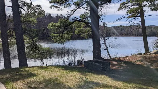 Ormanda güzel bir göl manzarası