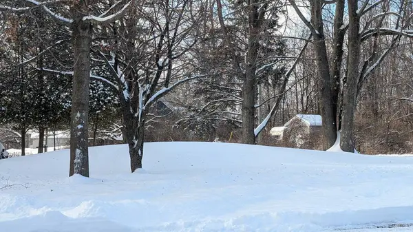 Karla kaplı kış manzarası