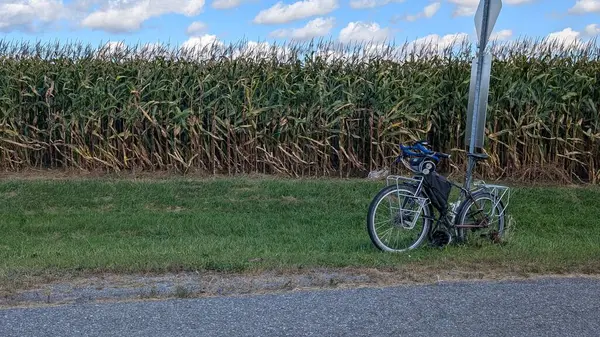 Mavi gökyüzü olan bir alanın arka planında siyah bayraklı bir bisikletin dikey görüntüsü.