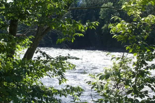 Wakefield kasabasındaki parkta güzel bir nehir manzarası.