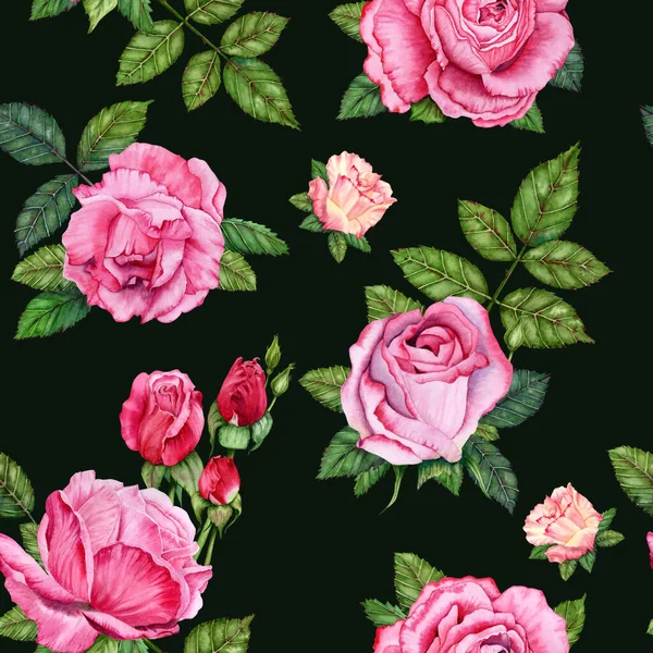Aquarela Rose Ilustração Floral Padrão Sem Costura Flores Rosa Desenhadas — Fotografia de Stock