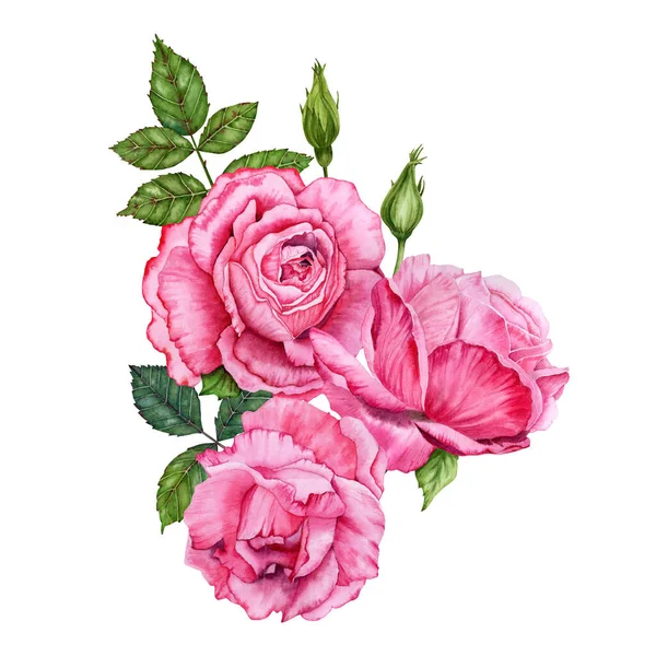Belle Illustration Aquarelle Botanique Avec Des Fleurs Roses Des Feuilles — Photo