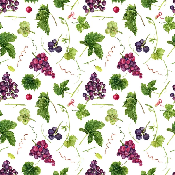 Üzümlü, yeşil yapraklı ve üzümlü kusursuz desen. El çizimi suluboya çizimi.