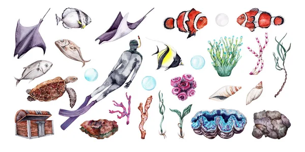 サンゴ礁の水中世界の水彩セット 無料ダイバー 熱帯魚 サンゴ トロピカルトラベルデザインに最適な手描きイラスト — ストック写真