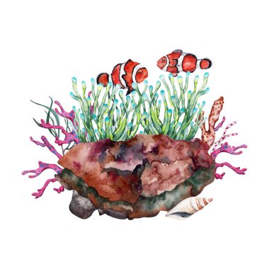 Mercan ve deniz yosunlarıyla resif kayalarının üzerinde büyüyen iki portakallı palyaço balığı. Beyaz arka planda elle çizilmiş suluboya çizimi. Tropikal mercan resiflerinin bir kısmı su altında toplanıyor..