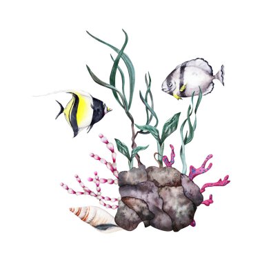 İki tropikal balık resif kayaları, kırmızı mercanlar, bitkiler ve yeşil deniz yosunları üzerinde yüzüyor. Beyaz arka planda elle çizilmiş suluboya çizimi. Tropik sualtı okyanus koleksiyonu