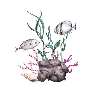 İki tropikal balık resif kayaları, kırmızı mercanlar, bitkiler ve yeşil deniz yosunları üzerinde yüzüyor. Beyaz arka planda elle çizilmiş suluboya çizimi. Tropik sualtı okyanus koleksiyonu