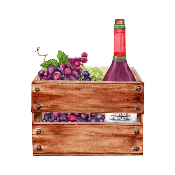 Wine making and grape harvest composition. Bottle of red wine in a wooden crate. Hand drawn watercolor illustration isolated on white background. Card, printing, textile, fabric, wrapping paper design