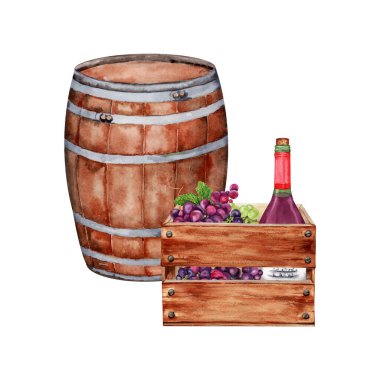Şarap fıçısı, bir sürü üzümlü ahşap sandık ve bir şişe kırmızı şarap kompozisyonu. Suluboya çizimi beyaz arkaplanda izole edildi. Kartlar, menüler, davetiyeler için el çizimi tasarım ögesi.