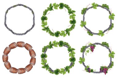 Üzüm dalında yeşil üzüm yaprakları ve dalları olan çelenk koleksiyonu. Suluboya çizimi beyaz arkaplanda izole edildi. El çizimi doğal tasarım öğesi. Yuvarlak kart çerçeveleri.