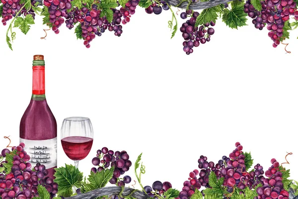 Yeşil yapraklı üzümler, sarmaşık dalları, şarap şişesi ve cam dolu kartpostal tasarımı. Beyaz arka planda elle çizilmiş suluboya çizimi. Kart, davetiye, şarap tatma menü çerçevesi