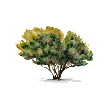 Yeşil yapraklar. Orman bitkileri doğa tasarım klip sanatı. Suluboya çizimi beyaz arkaplanda izole edildi. El yapımı turizm, açık hava, off-road, kamp, eğlence tasarımları