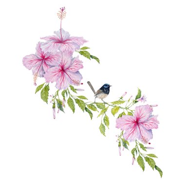 Yeşil yapraklı Pembe Hibiscus Çiçekleri ve küçük kuş kompozisyonu. Suluboya çizimi beyaz arkaplanda izole edildi. Çiçekli kart tasarımı. Gerçekçi botanik dalında tatlı bir peri kırbacı.