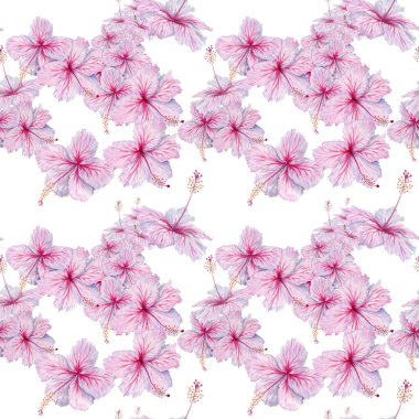 Pembe Hibiscus Çiçekleri kusursuz desen. Suluboya çizimi beyaz arkaplanda izole edildi. Duvar kağıtları ve çarşaf örtüleri için çiçek deseni. Tropik kart, kumaş ve yaz elbisesi tasarımları
