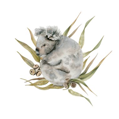 Okaliptüs ağacı yapraklı Koala ayısı. Suluboya çizimi beyaz arkaplanda izole edildi. Kart tasarımları, çıkartmalar ve parmak izleri için el çizimi Avustralya hayvani. Sevimli keseli memeli..