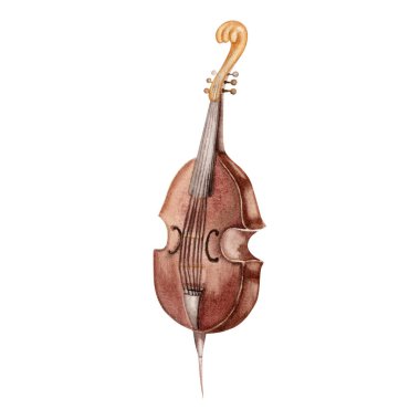 Vintage Double Bass musical instrument. Classical string viola da gamba. Hand drawn watercolor illustration isolated on white background. For symphony concert posters, opera flyers, wedding cards clipart