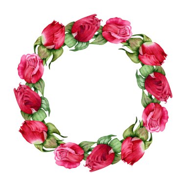 Kırmızı güller uzay çelenklerini taklit eder. Çiçek tomurcukları uzayın yuvarlak çerçevesini kopyalar. Beyaz arka planda elle çizilmiş suluboya çizimi. Çiçek Sevgililer Günü kartları, doğum günü ya da düğün davetiyeleri, parmak izleri..