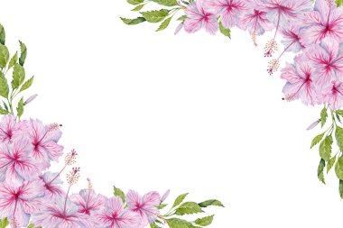 Yeşil yapraklı Pembe Hibiscus Çiçekleri. Suluboya çizimi beyaz arkaplanda izole edildi. Davetiyeler için gerçekçi botanik dallara sahip çiçek kartı tasarımını kopyala
