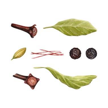 Baharat koleksiyonu. Aromatik malzemeler. Körfez yaprakları, karanfil ve safran, karabiber ve kardamon seti. El çizimi suluboya çizimi arkaplandan izole edilmiş. Baharat klibi sanatı