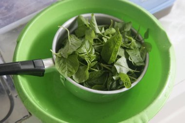 Taze yeşil ıspanak yaprakları kasede