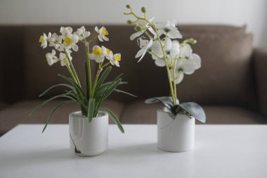 Vazoda beyaz çiçekler