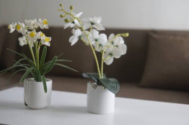 beautiful white orchid in vase on table