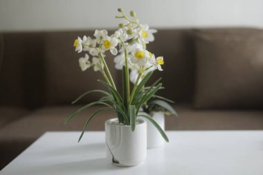 Vazodaki güzel beyaz laleler