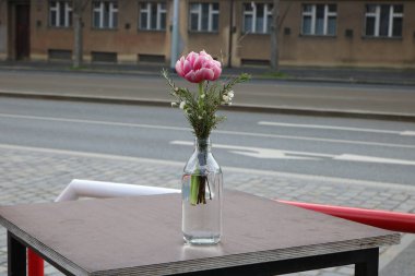 Prag şehrinin ana yolundaki bistro masasında şişedeki bir çiçek.