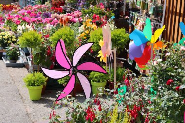 Çiçekler ve süslemeler bahçe dükkanının yaş bölümünde.
