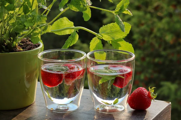 Dua Gelas Air Dengan Mint Dan Stroberi Sebelah Ramuan Peppermint — Stok Foto