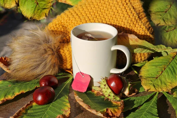A mug of warm tea to warm up in autumn weather