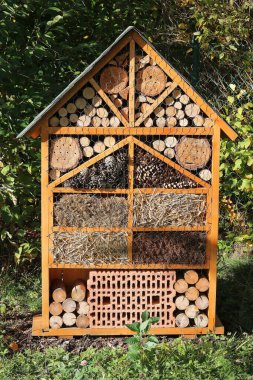 Böcek evi, parkta böcek oteli