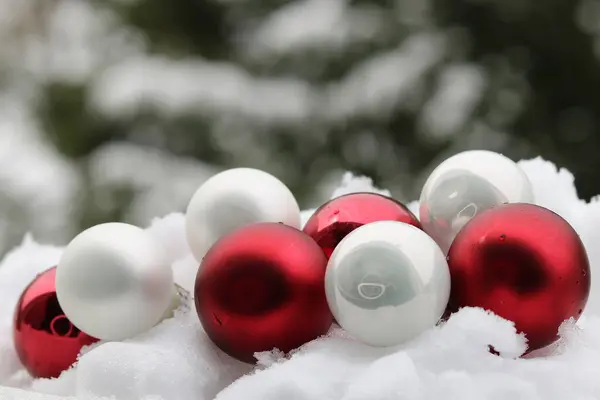 クリスマスバックグラウンドまたは雪に置かれた赤と白のボールとの挨拶カード ストック写真