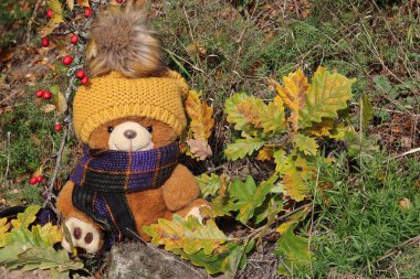 Sonbahar doğasında dışarıda şapkası ve eşarbı olan giyinmiş oyuncak ayı..