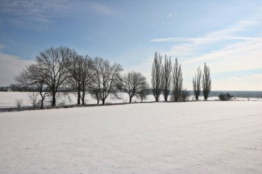 Ağaçları ve tarlaları olan karlı kırsal alan