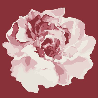 Painted rose isolated icon on red background