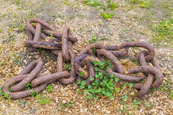 Europe Portugal Porto Vila Nova Gaia Trusted Iron Anchor Chain — Stock Photo, Image