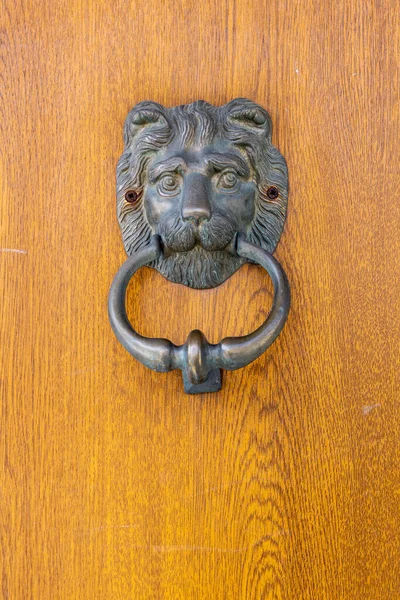Ευρώπη Πορτογαλία Καμίνια Βύσμα Πόρτας Ορείχαλκου Σχήμα Κεφαλής Λιονταριού — Φωτογραφία Αρχείου