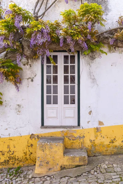 Europa Portugal Obidos Twisteria Vid Flor Por Encima Una Puerta — Foto de Stock